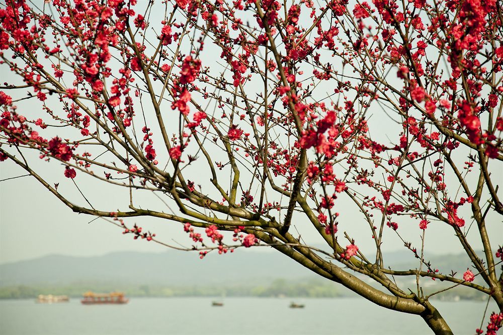 Liuying Hotel West Lake Hangzhou Buitenkant foto